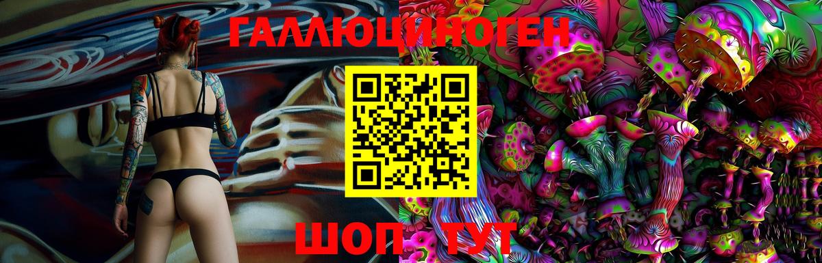 Шуя  Псилоцибиновые грибы GOLDEN TEACHER  Вход с VPN 