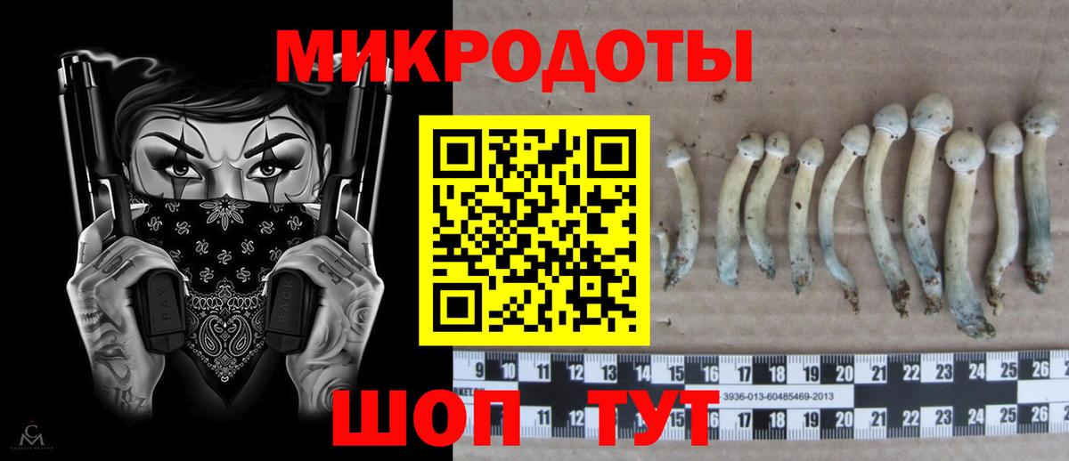 Галлюциногенные грибы Psilocybine cubensis Шуя